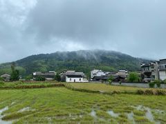 -塔川景区
