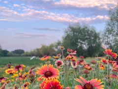 -汉长安城未央宫国家考古遗址公园