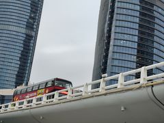 -演武大桥观景平台