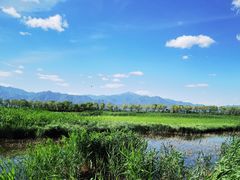 -野鸭湖国家湿地公园