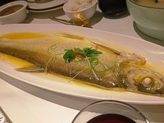 -羲和雅苑•北京烤鸭(国贸商城店)