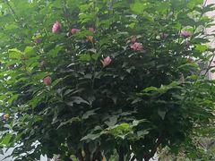 -长沙简牍博物馆