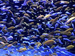 -成都浩海立方海洋公园