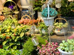 -循礼门鲜花花市(武汉循礼门店)