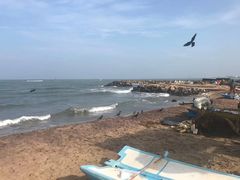 -尼甘布海鲜市场