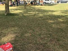 -二沙岛艺术公园