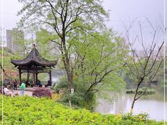 -重庆彩云湖湿地公园