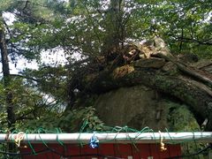 -尧山风景区