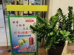 -15年老字号鑫鑫猪肚鸡·椰子鸡海南火锅(兴隆华侨农场店)