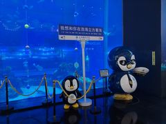 -成都浩海立方海洋公园