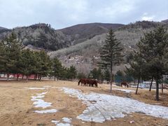 -五台山风景名胜区