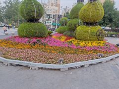 -万向城(裕华路店)