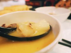 -鲜入围煮花胶鸡海鲜火锅