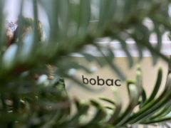 -BOBAC