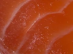 -白天鹅宾馆·流浮阁咖啡厅