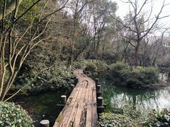 -杭州半山国家森林公园-龙山公园
