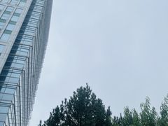 -辽宁大厦