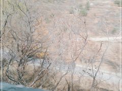 -白草畔自然风景区