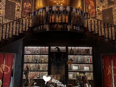 -雪灵魔法世界SHELLY’S TAROT(大良桂畔里店)