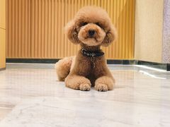 -喵汪宠物生活馆(涞坊路店)