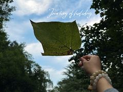 -敬亭山风景名胜区