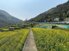 -四明山国家森林公园