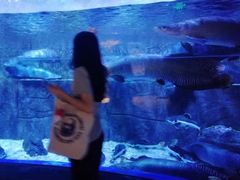 -成都浩海立方海洋公园