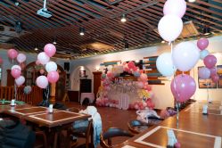 -派对猴生日派对策划(浦东店)