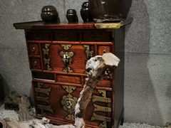 -纽斯桑拿会所(天山店)