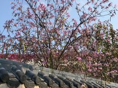 -人民公园(罗湖区)