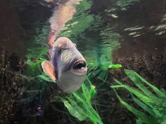 -正佳极地海洋世界