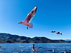 -丽江泸沽湖景区