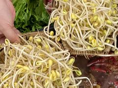 -阳阳老火锅(小南门店)