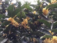 -杭州少年儿童公园