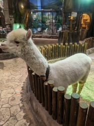 -宝燕乐园(闵行旗舰店)