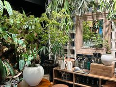-自由生长植物工作室(深港花卉中心店)