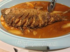 -阿五黄河大鲤鱼(英协路店)