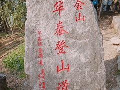 -紫金山山顶公园