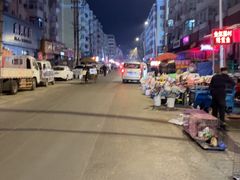 -哈尔滨道外花鸟鱼市场