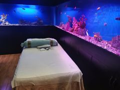 -避尘 Bsense·SPA(新会展总店)