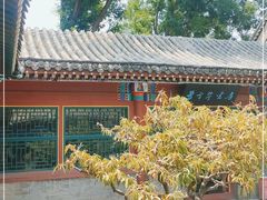 -荣国府