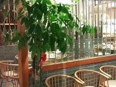 -丹江渔村(望京店)