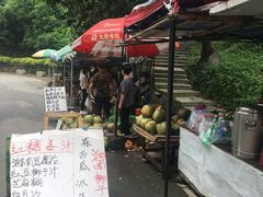 -火炉山森林公园