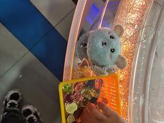 -大玩家(金牛万达店)