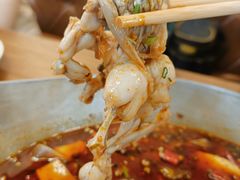 -靓蛙馆