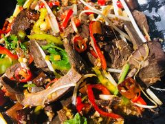 -手选潮汕鲜活牛肉火锅(二七广场店)