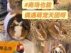 -仲盛世界商城