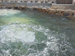 -春晖园度假酒店温泉