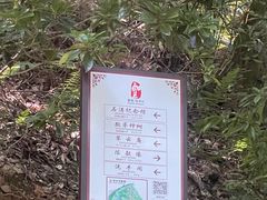 -敬亭山风景名胜区