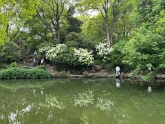 -惠山古镇·寄畅园